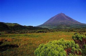Pico island - Azores