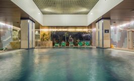 Porto Palacio Hotel swimming pool - Portugal