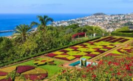 Botanical gardens of Funchal - Portugal.com