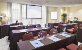 hesperia vigo hotel spain conference room