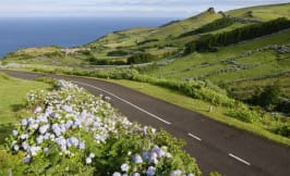 flores road in mosteiro 2048 x 920