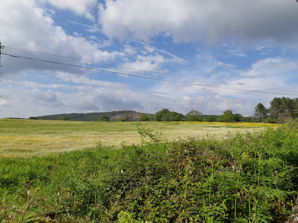 Alentejo Open Field