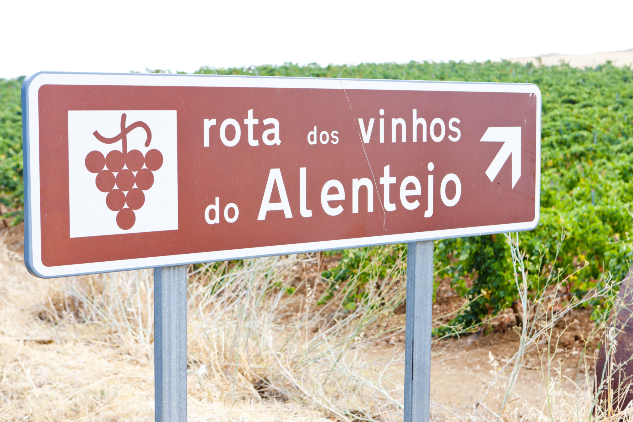 Vinhos do Alentejo Portugal