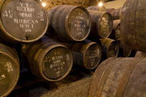 Port wine barrels